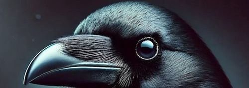 Animal Advocacy Forum